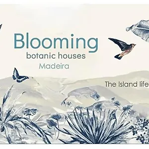 Blooming Botanic , Estreito Da Calheta Portugal